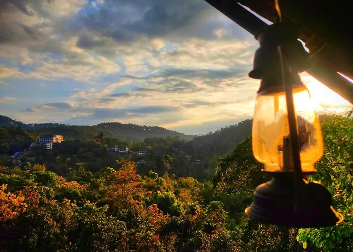 The Wild Trails Clarks Exotica , Munnar